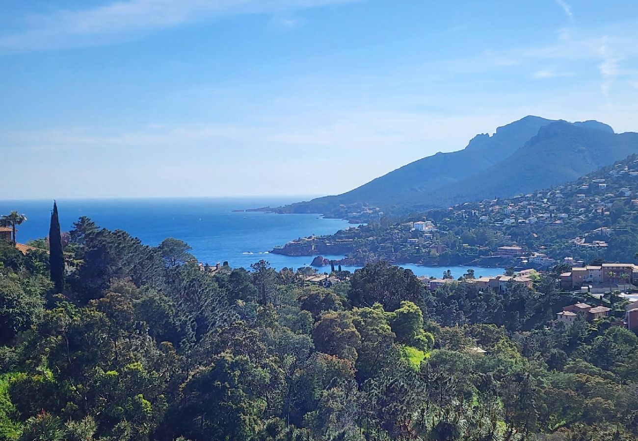 Apartment in Théoule-sur-Mer - Magnificent 2p sea view and swimming pool 