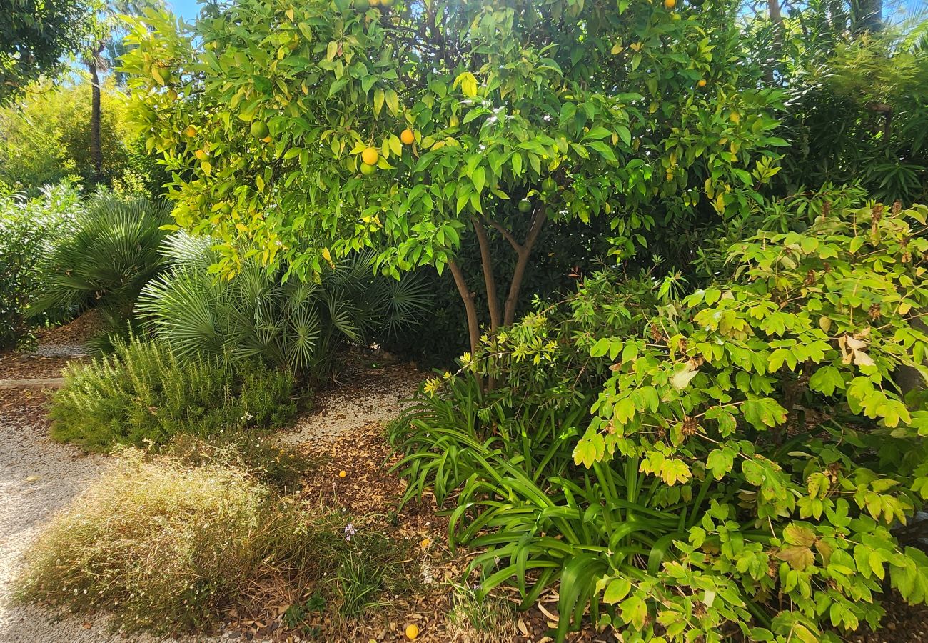 Apartment in Cannes - 2-bedroom flat in Cannes city centre